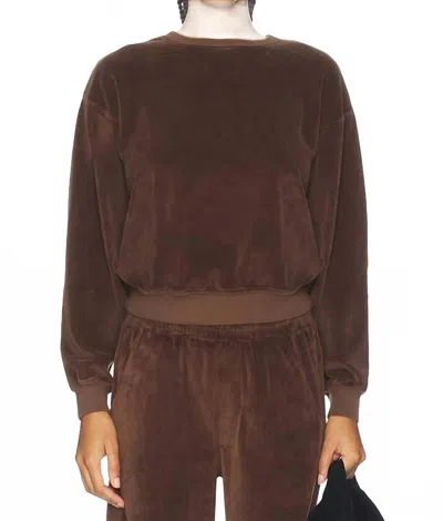 Citizen Of Humanity Vintage Crewneck Sweatshirt In Camello In Brown