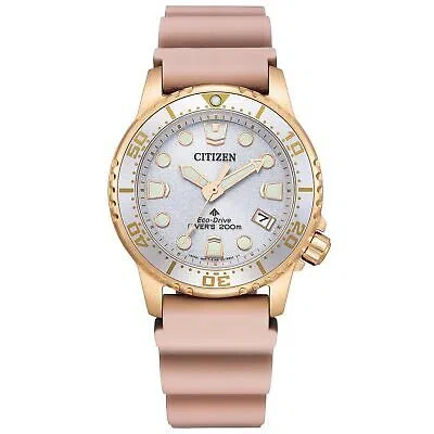 Pre-owned Citizen Promaster Eo2023-00a Women Watch Marine Eco-drive Solar Diver 200ｍ
