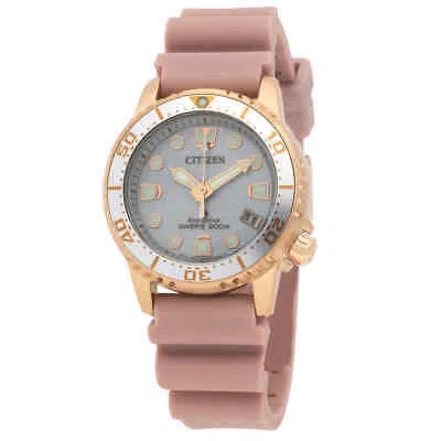 Pre-owned Citizen Promaster Silver Dial Ladies Watch Eo2023-00a