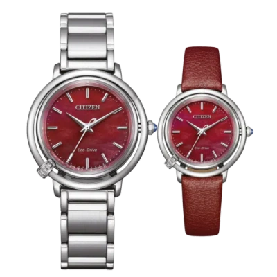 Pre-owned Citizen Silver Womens Analogue Watch Em1090-78x