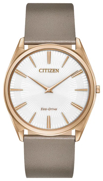 Citizen Women's 39mm Gray Solar Powered Quartz Eco-drive Watch Ar3076-08a In Gold