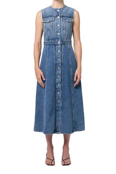 Citizen Of Humanity Idalene Dress In Terrace