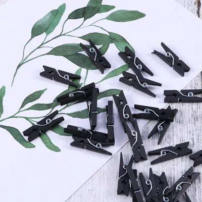 Citrus 100pcs Black Mini Wooden Clothespins With 33ft Jute Twine – 1.3" Photo Clips For Crafts & Decoration In Multi