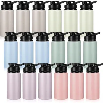 Citrus 17 oz Aluminum Water Bottles Bulk – 18 Pack In Multi