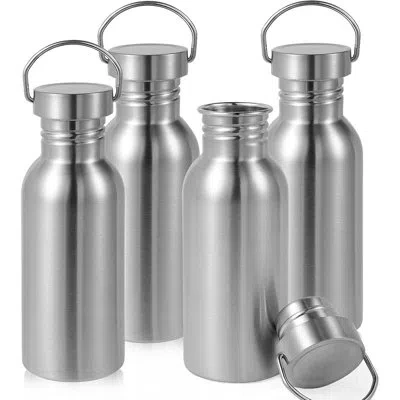 Citrus 20 oz Single-wall Stainless Steel Water Bottles – 4 Pack In Gray