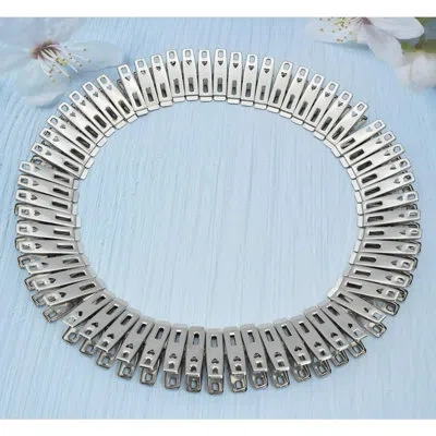 Citrus 60-pack Stainless Steel Clothes Pins With Storage Box, Heavy Duty Metal Clips For Laundry, Socks, Fo In Silver