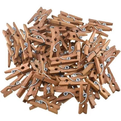 Citrus 80-pack Brown Mini Wooden Clothespins, 1-inch Wood Clips For Crafts, Photos, Laundry & Bag Sealing