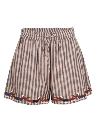 Citrus Brown Stripe Diver Short