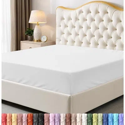Citrus King Fitted Sheet, Ultra-soft Brushed Microfiber Bedding With Deep Pocket, Cooling Breathable, Wrink In White