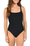Citrus Solid One-piece Swimsuit In Black