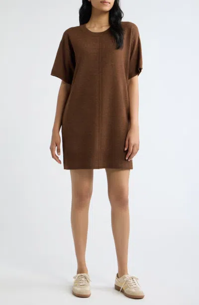 City Blues Crewneck Sweater Dress In Brown