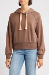 City Blues Crop Cotton Hoodie In Brown
