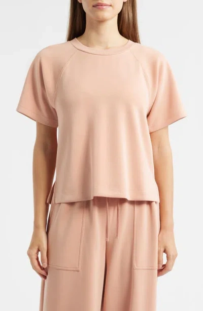City Blues Raglan Sleeve T-shirt In Pink