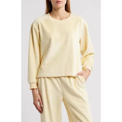 City Blues Ribbed Velour High-low Sweatshirt In Brown