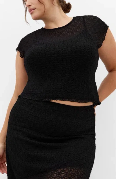 City Chic Brie Lace Knit Top In Black