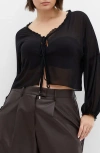 City Chic Corina Ruffle Trim Sheer Tie Neck Top In Black