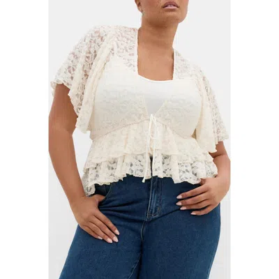 City Chic Lily Sheer Lace Crop Top In Neutral