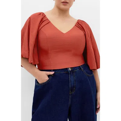City Chic Peta Crop Top In Brown