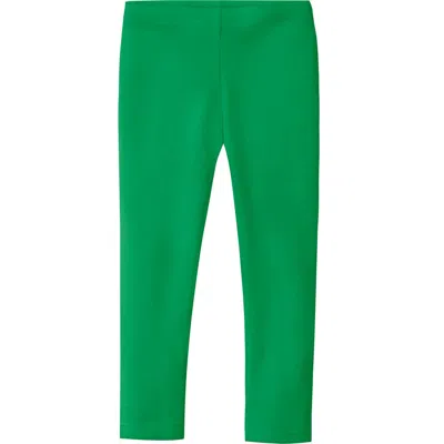 City Threads Babies'  Girls Soft Organic Cotton Leggings In Green
