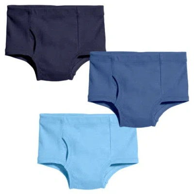 City Threads Usa-made Babies'  Boys 100% Organic Cotton Briefs Underwear In Multi