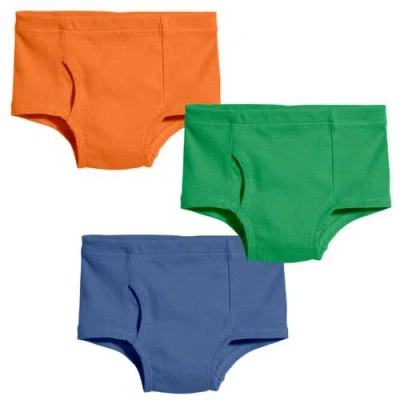 City Threads Usa-made Babies'  Boys 100% Organic Cotton Briefs Underwear In Multi