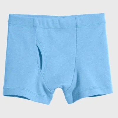 City Threads Usa-made Baby Boys Super-soft Organic 100% Cotton Boxer Briefs 3pk In Blue