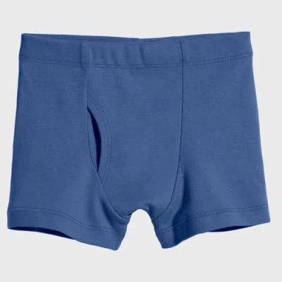 City Threads Usa-made Baby Boys Super-soft Organic 100% Cotton Boxer Briefs 3pk In Blue