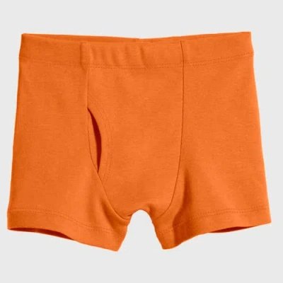 City Threads Usa-made Baby Boys Super-soft Organic 100% Cotton Boxer Briefs 3pk In Orange