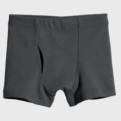 City Threads Usa-made Babies'  Boys Super-soft Organic 100% Cotton Boxer Briefs 3pk In Gray