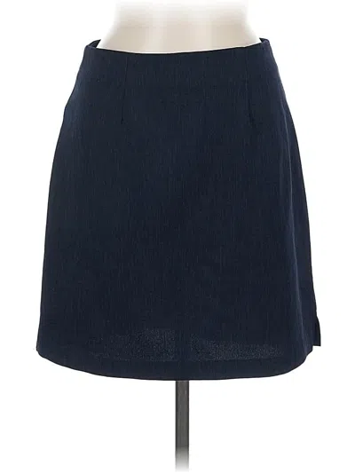 Pre-owned City Triangles Casual Skirt In Blue