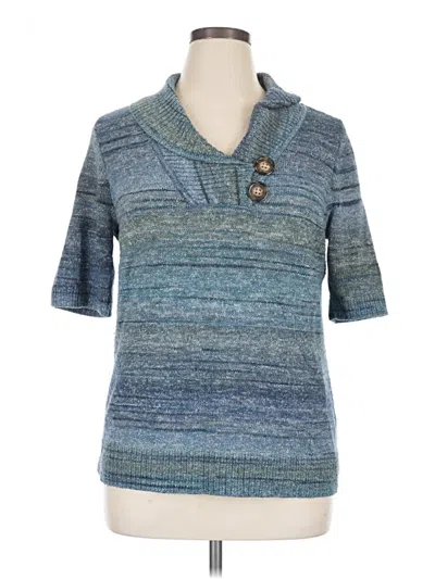 Pre-owned Cj Banks Pullover Sweater In Blue