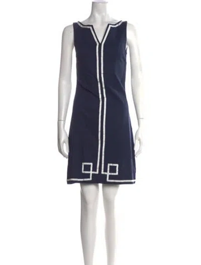 Pre-owned Ck Bradley Graphic Print Mini Dress In Blue