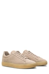 Clae Bradley Low Top Sneaker In Cashmere Light Natural Gum