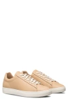 Clae Bradley Sneaker