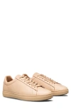 Clae Bradley Sneaker In Brown