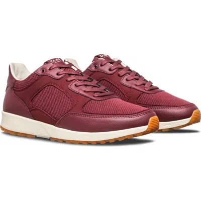 Clae Joshua Sneaker In Burgundy