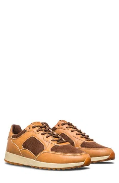 Clae Joshua Sneaker In Brown
