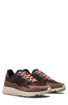 Clae Zuma Sneaker In Multi
