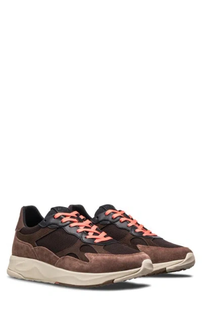 Clae Zuma Sneaker In Multi