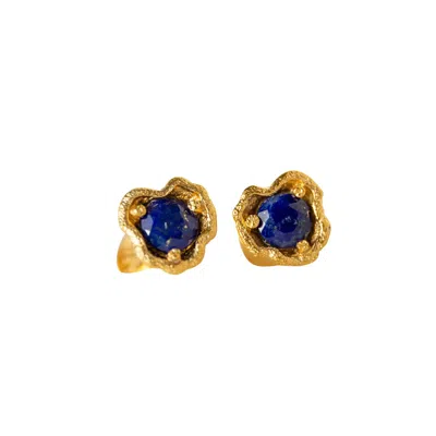 Claire Hill Designs Women's Lapis Lazuli Gold Lichen Stud Earrings