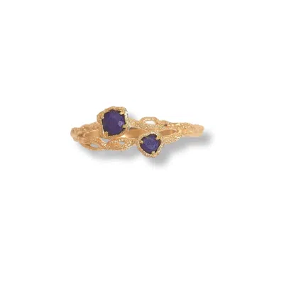 Claire Hill Designs Women's Twisted Branch Lapis Lazuli Gold Ring