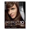 Clairol Perfect 10 Nice 'n Easy Hair Color - Light Brown 6