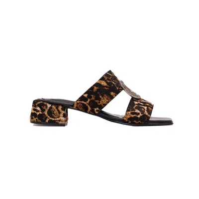 Clara Barcelo Women's Gift Horse - Brown