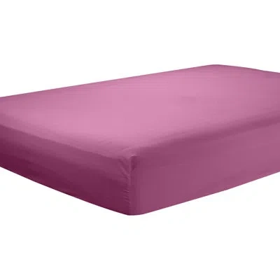 Clara Clark Premier Single Deep Pocket Solid Color Fitted Sheet. In Magenta
