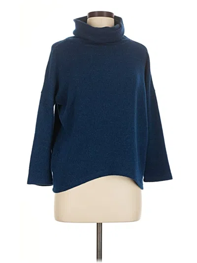Pre-owned Clara Sun Woo Turtleneck Sweater In Blue