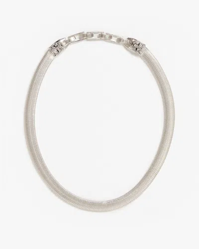 Clare V Snake Chain Collar In Silver In Multi