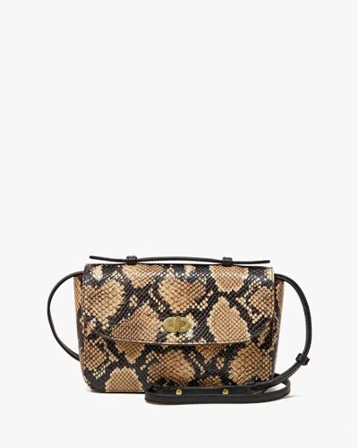Clare V Women's Kathryn Crossbody Bag In Tan Desert Snake In Multi