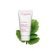 Clarins Fresh Scrub