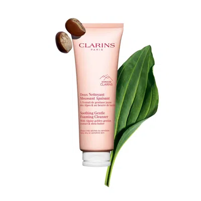 Clarins Soothing Gentle Foaming Cleanser - Dry Skin 4.2 Oz. In White