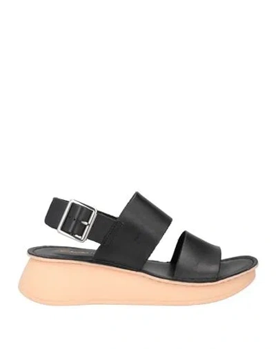 Clarks Authentic Polyveldt Woman Sandals Black Size 6 Leather In Multi